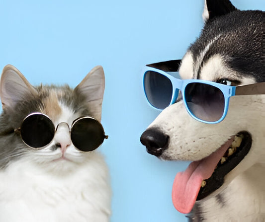 cannabis medicinal para mascotas